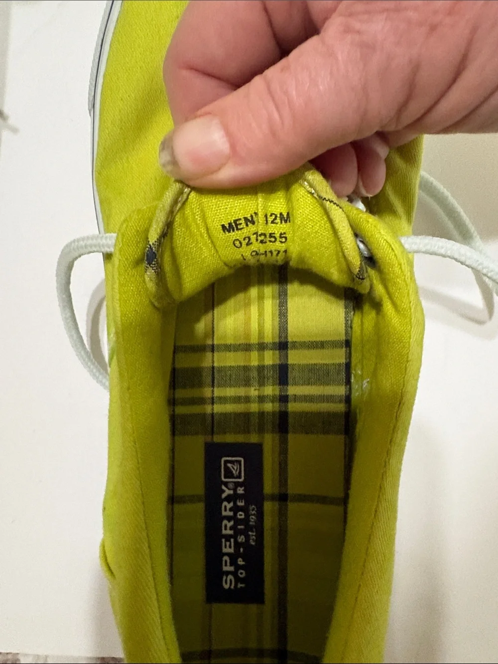 Sperry casual canvas